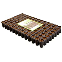 Bandeja semillero Eazy Gardening Plug - 104 Alvéolos (52x31cm)